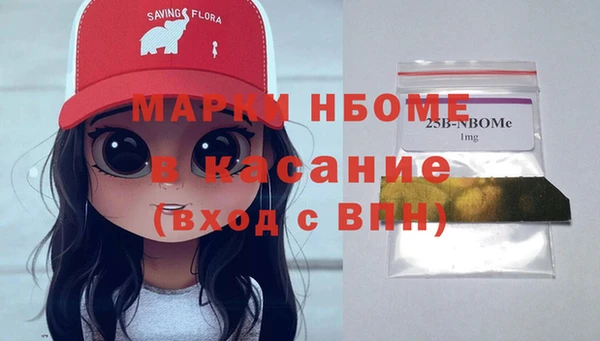 ешки Няндома