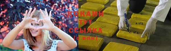 ешки Няндома