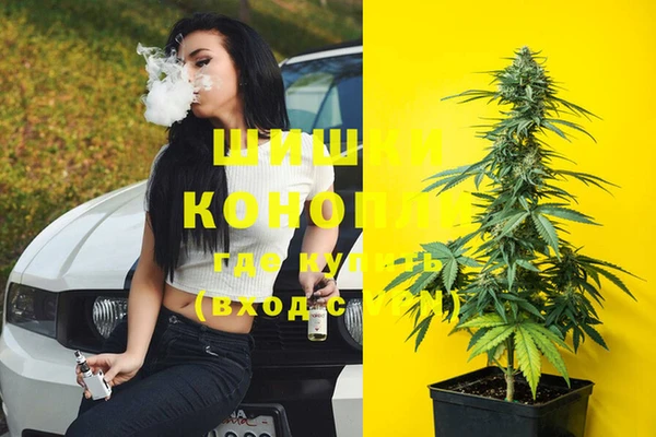 mix Осинники